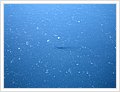 0195_flug.JPG