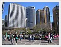 0227_circular_quay.JPG