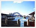 0253_circular_quay.JPG