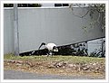 0012_woche1.JPG