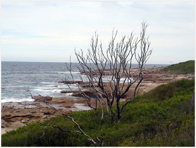 42101_bundeena.jpg
