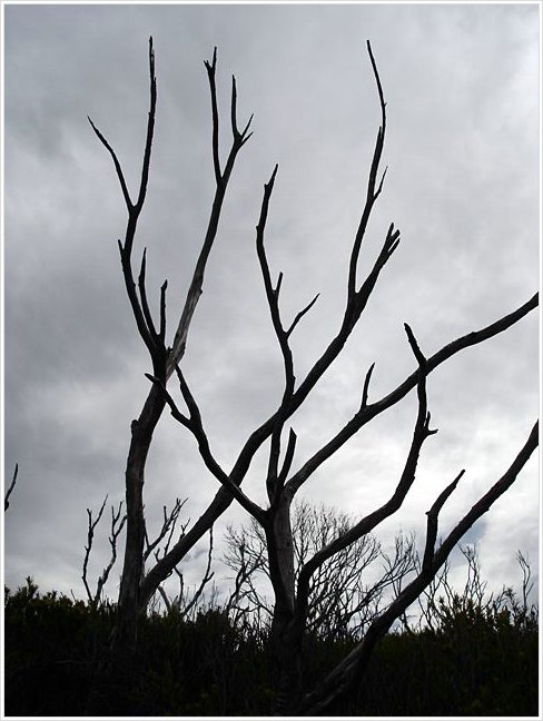 42103_bundeena.jpg
