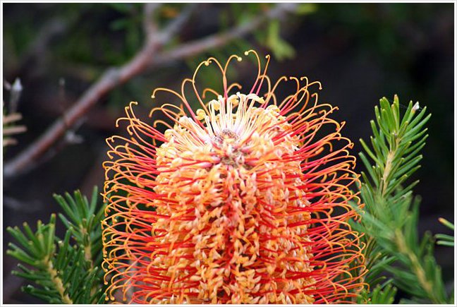 42126_bundeena.jpg