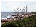 42101_bundeena.jpg