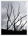42103_bundeena.jpg