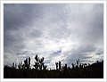 42106_bundeena.jpg