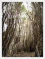 42116_bundeena.jpg