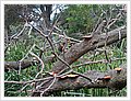 42130_bundeena.jpg