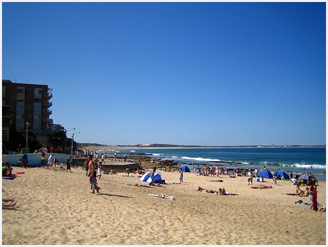41000_cronullabeach.jpg