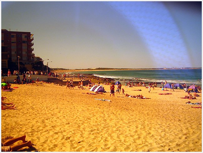 41002_cronullabeach.jpg
