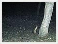 40016_week4.jpg