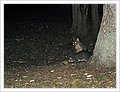 40018_week4.jpg