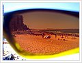 41001_cronullabeach.jpg