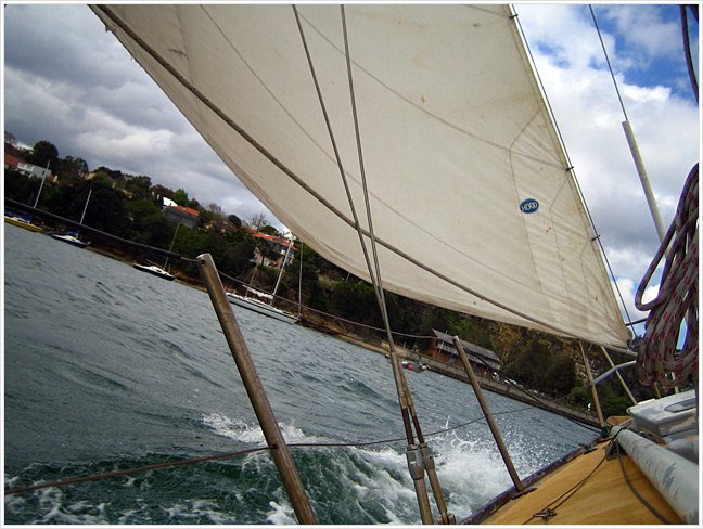 51009_Sailing.jpg