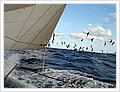 51144_Sailing.jpg