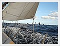 51145_Sailing.jpg