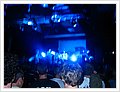 64004_karnivool&cog.jpg