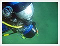 63038_diving1.jpg