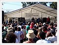 93033_newtonfestival.jpg