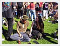 93035_newtonfestival.jpg