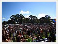 93043_newtonfestival.jpg