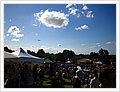 93051_newtonfestival.jpg