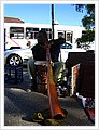 93078_newtonfestival.jpg