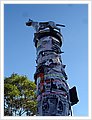 93083_newtonfestival.jpg