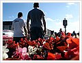 93089_newtonfestival.jpg