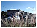 93090_newtonfestival.jpg